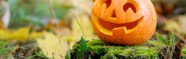 Zucca di Halloween intagliata su un ceppo nel bosco.