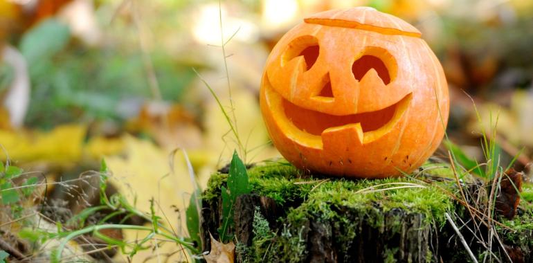 Zucca di Halloween intagliata su un ceppo nel bosco.